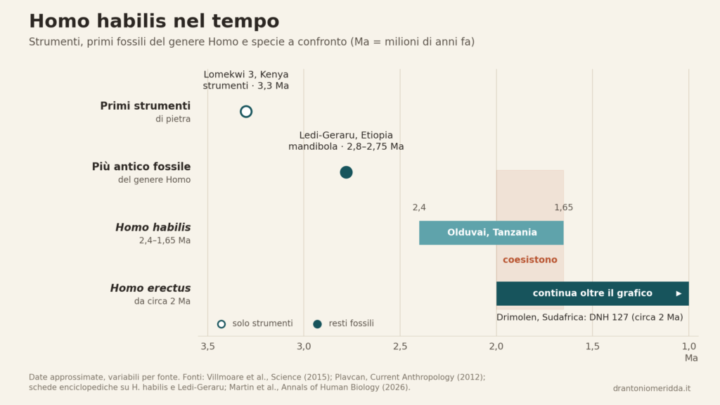 Linea del tempo con gli strumenti di Lomekwi 3 (3,3 milioni di anni fa), la mandibola di Ledi-Geraru (2,8-2,75), Homo habilis (2,4-1,65) e Homo erectus (da circa 2).