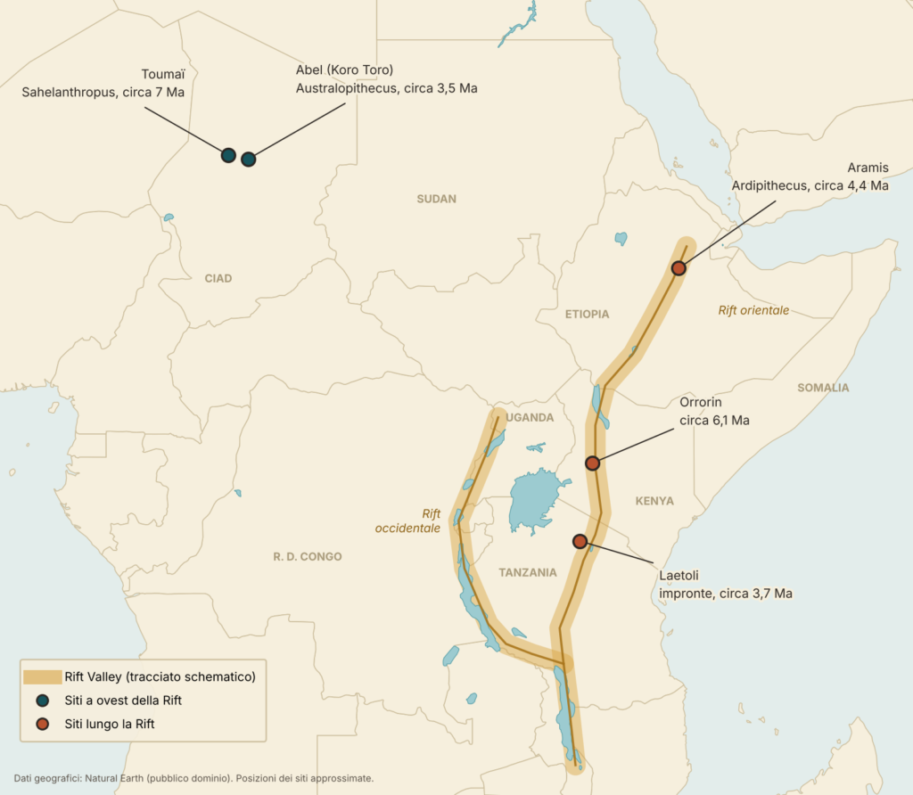 Mappa dell’Africa orientale e centrale con la Rift Valley e i siti di Toumaï, Abel, Orrorin, Aramis e Laetoli